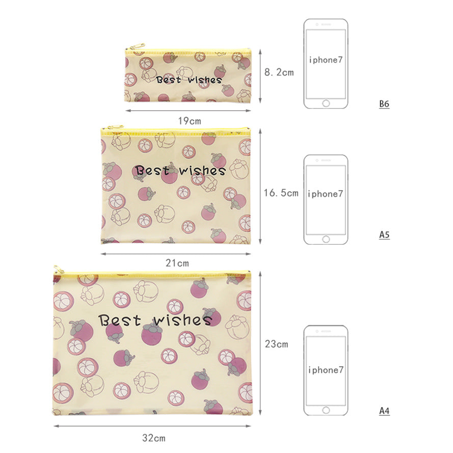 Premium Transparent Pencil Pouch Set