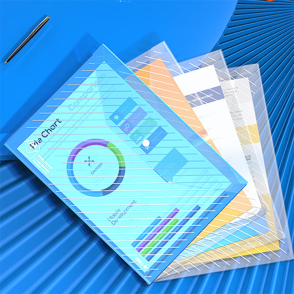 Premium Transparent Document Envelope Folders