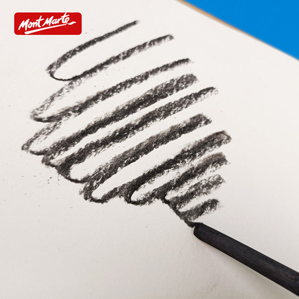 Premium Art Charcoal Sticks Set