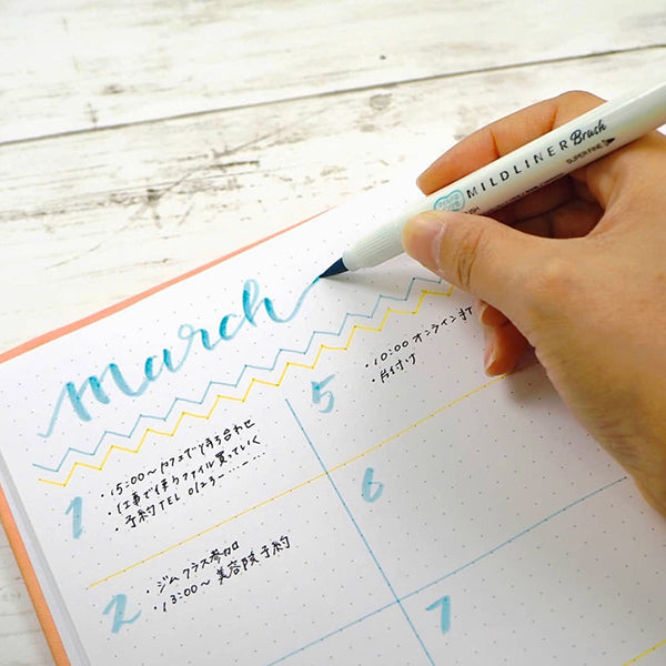 Zebra-Mildliner-Double-Ended-Brush-Pen-5-Colors-Set-9.jpg